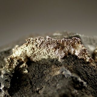 Silver On Arsenic Rare Pöhla,  Germany