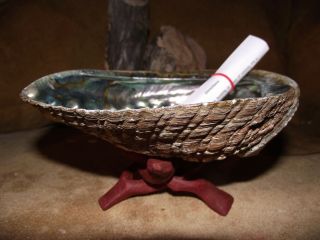 Abalone Smudge Kit For Smudging White Sage With Shell Stand Purification