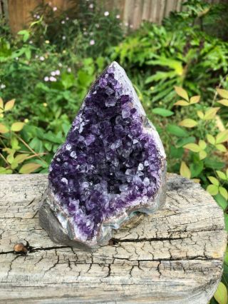 Grade A Uruguayan Amethyst Cluster (1lbs 12oz) - 5 Inches Tall -
