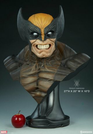 27 " Sideshow Marvel Comics X - Men Logan The Wolverine Life Size Bust Statue