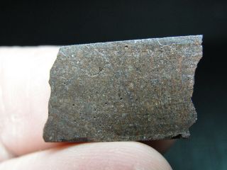 Nwa 10059 Official Meteorite - H3.  9 Type 3 Chondrite - G594 - 0025 - 2.  47g