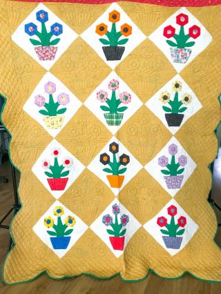 Vintage Quilt Applique Flower Pots For Repair Or Repurposing Huge Quilt