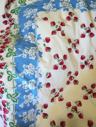 World Market Table Cloth 60 " X90 " Blue White Red Strawberry Floral 5 Napkins