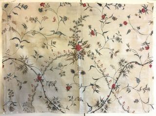 Rare Early 19th French Cotton Printed Fabric (2855)