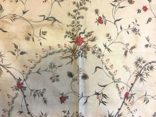 Rare Early 19th French Cotton Printed Fabric (2855) 3
