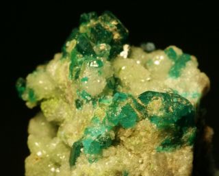 Dioptase gemmy crystals w/ Duftite on Calcite matrix fine TN Tsumeb Mine 3