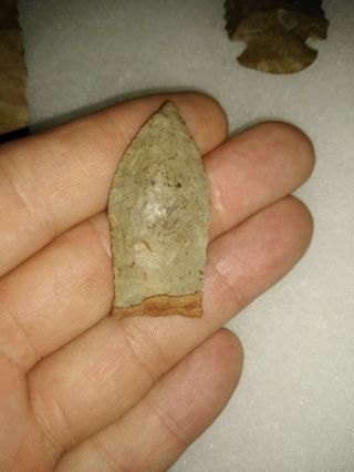 Tennessee Ft.  Payne Paleo Beaver Lake Indian Artifact Arrowhead