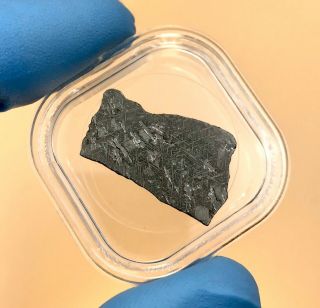 Taza Nwa859 Iron Meteorite Plessitic Octahedrite Slice Morocco