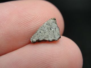 Meteorite Nwa 6963 Achondrite Martian Shergottite - G201 - 0363 - 0.  28g - Crust