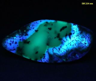 Bb: Dendritic Opal From Turkey - B&w,  Fluoresces Wild Blue/white & Green