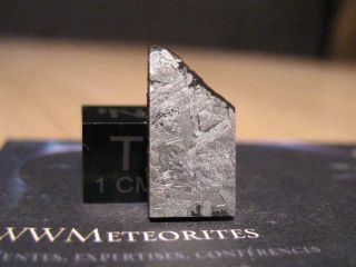 Meteorite Nwa 8346 - Coarse Medium Octahedrite (iab - Sll)