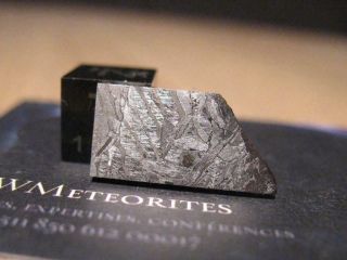 Meteorite NWA 8346 - Coarse medium octahedrite (IAB - sLL) 2