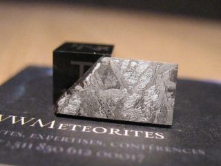 Meteorite NWA 8346 - Coarse medium octahedrite (IAB - sLL) 3