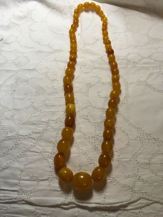 Antique Egg Yolk / Butterscotch Amber Graduated Bead Necklace - 60 Grams