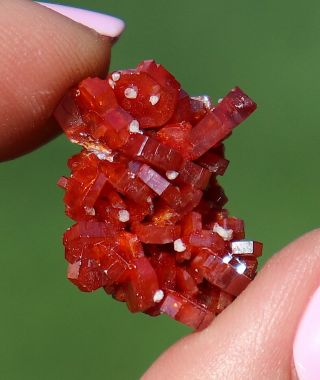 Glowing And Lustrous Cherry Red Vanadinite Crystals From Morocco (: (: