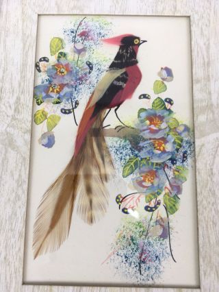 Vintage Feather Folk Art Bird Prints by Glenn Bastian Golden Pheasant 2