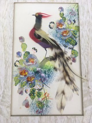 Vintage Feather Folk Art Bird Prints by Glenn Bastian Golden Pheasant 3