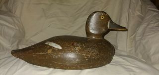Vintage Duck Decoy,  Ed Mcneil Hen Bluebill