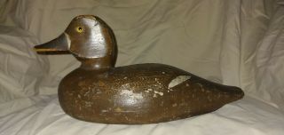 Vintage Duck Decoy,  Ed McNeil Hen Bluebill 2