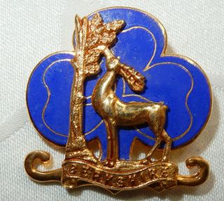 Scarce Vintage Girl Guides Berkshire County Metal Pin Badge - Uncommon By Butler