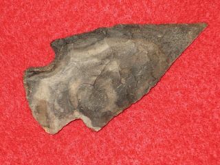 Authentic Native American Artifact Arrowhead 2 - 3/4 " Texas Lange Point A3