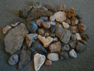 5lbs Of Assorted Fossils Rocks Minerals Crystals
