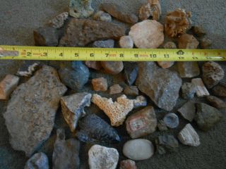 5lbs of Assorted Fossils Rocks Minerals Crystals 2