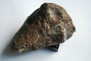 Meteorite Jah Xxx Complete Specimen 342 Grams
