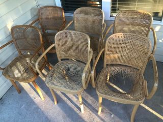Bentwood And Cane Hoffmann Thonet Arm Chairs Owned By Richard Schultz,  Knoll