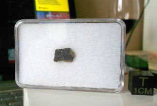 Meteorite Nwa 11273 (lunar) - 0.  3 G