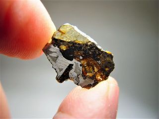 Museum Quality Crystals Brahin Pallasite Meteorite.  945 Gms