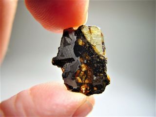 MUSEUM QUALITY CRYSTALS BRAHIN PALLASITE METEORITE.  945 GMS 3