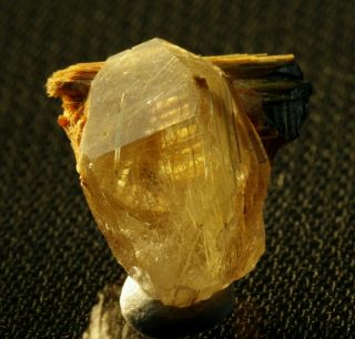Rutilated Quartz sharp crystal with Hematite fine TN Novo Horizonte,  Brazil 2