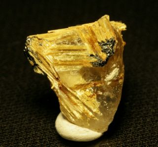 Rutilated Quartz sharp crystal with Hematite fine TN Novo Horizonte,  Brazil 3