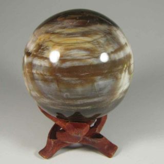 2.  4 " Petrified Wood Sphere Ball W/ Stand - Madagascar - 61mm