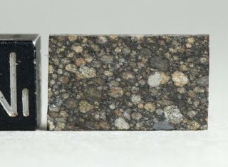 Meteorite Nwa 10854 - L3 (s2/w1) Primitive Chondrite - Slice