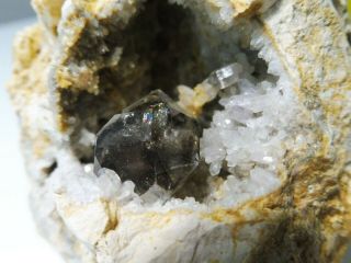 Lustrous Smoky Quartz In Geode,  Mooralla,  Victoria,  Australia,  7.  5x6.  5x5.  0 Cm