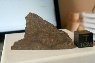 Meteorite Nwa 11038 (l3) - 11.  32 G