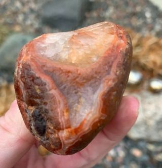 Lake Superior Agate 6.  1 Ounce Red With White & Yellow Banding