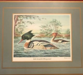 Vintage Pimpernel Placemats Set Of 6 Water Birds Cork Backing