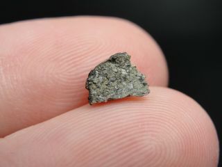 Meteorite Nwa 6963 Achondrite Martian Shergottite - G201 - 0364 - 0.  22g - Crust