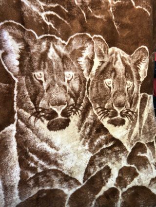 Vintage San Marcos Blanket Lion Cubs Brown 78”x61”