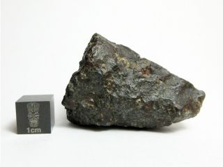 Nwa 869 Meteorite 47.  38g Awesome Chondrite Individual
