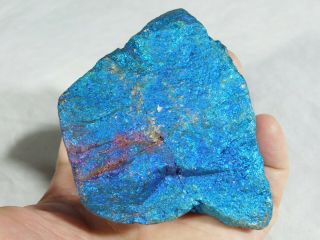 A Huge Bright Blue Peacock Copper or Chalcopyrite or Peacock Ore 672gr e 2