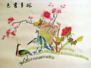 Vintage Oriental Asian Silk Embroidered Peacocks Tapestry Framed Picture 2