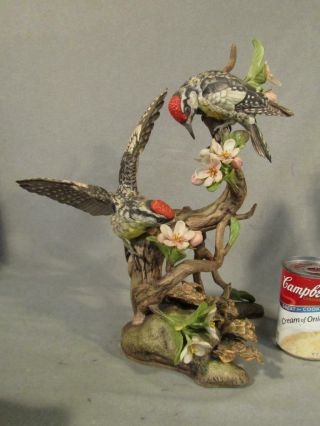 14 " Vintage Boehm Porcelain Woodpecker Figurine " Yellow Bellied Sapsucker " 400