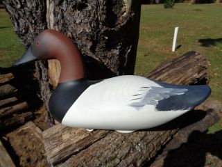 Canvasback Duck Hand Crafted By Jim Pierce Signed Havre De Grace Maryland