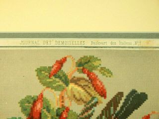 Antique Berlin Woolwork 19th century.  PRINTED chart - Bird & Fuchsia 3