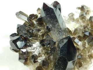 Dozens Of Points On This Big Smoky Quartz Crystal Cluster From Brazil 577gr E