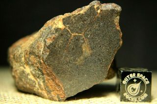 Al Haggounia 001 El3 Fossil Meteorite 54.  8 Grams Enstatite Low Metal Chondrite